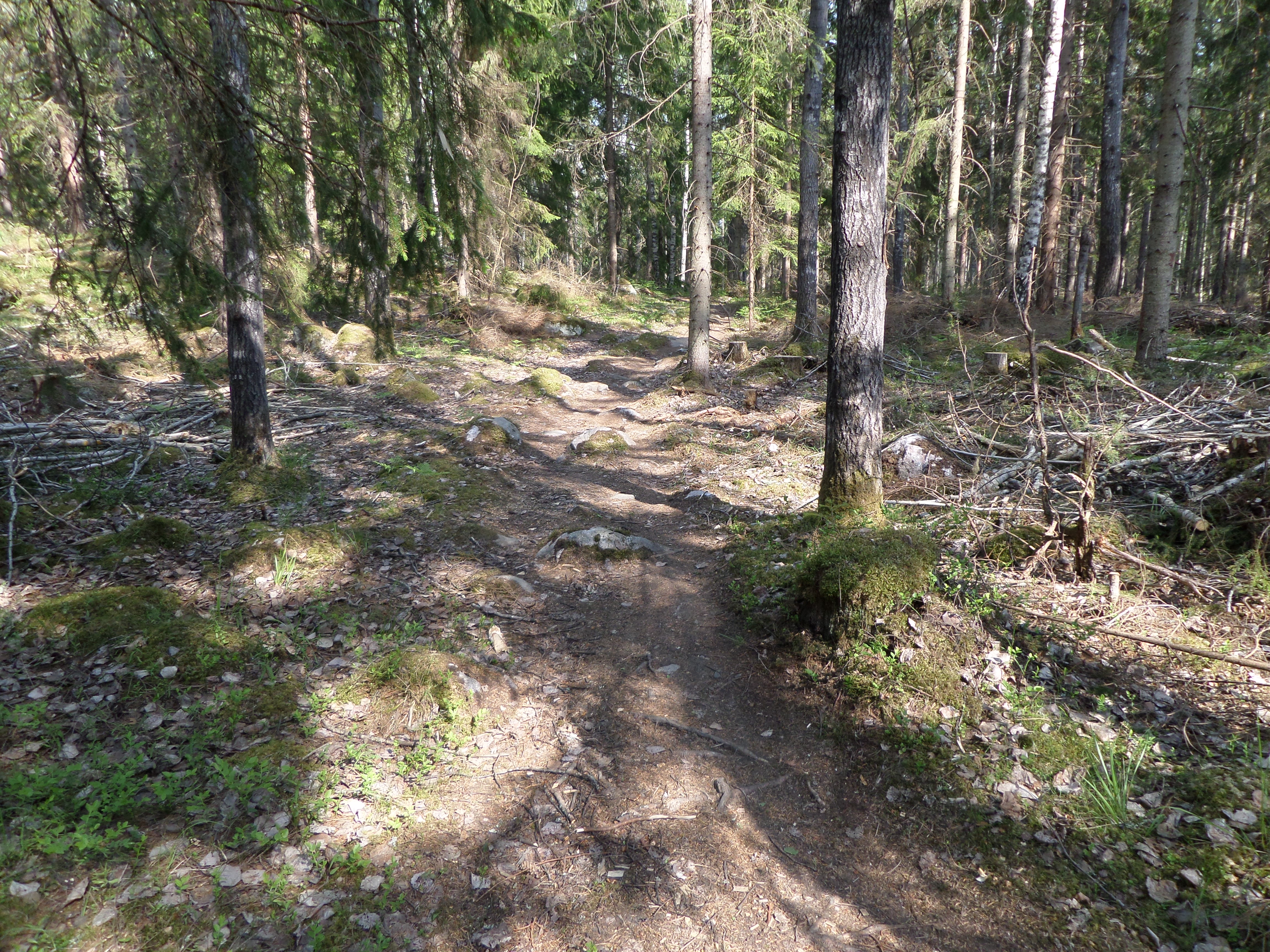 SAM_0401