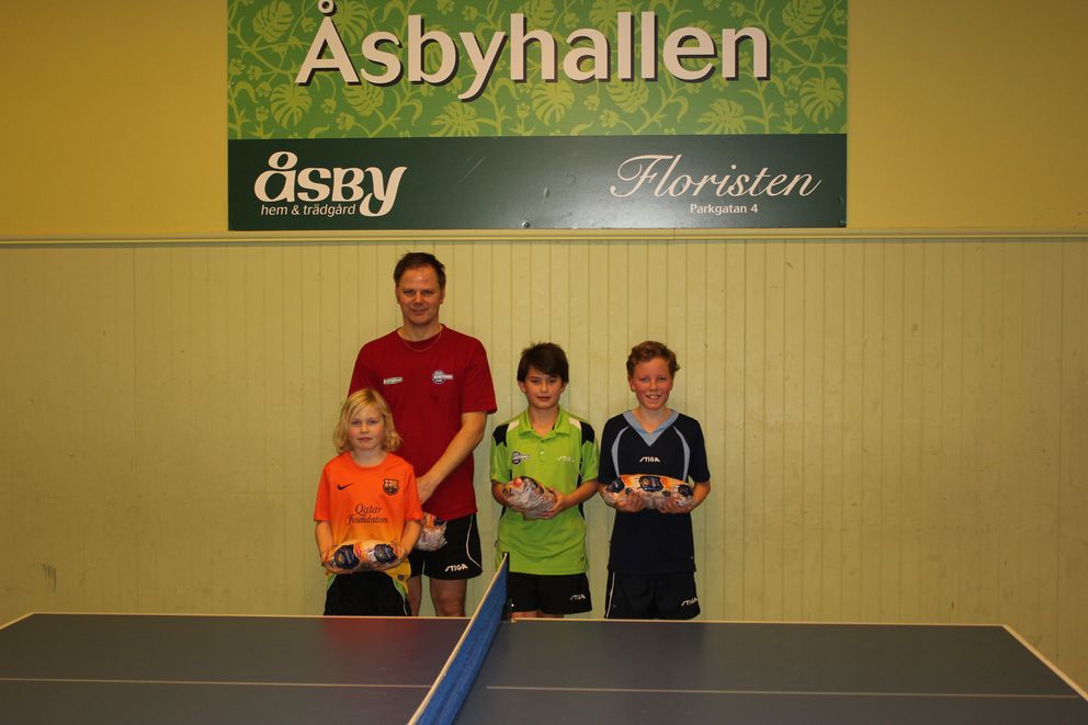 Skinkturnering 2012