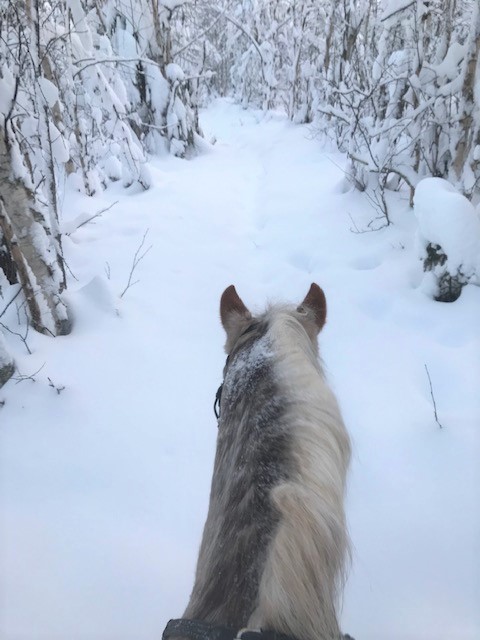 mycket snö idag.jpg