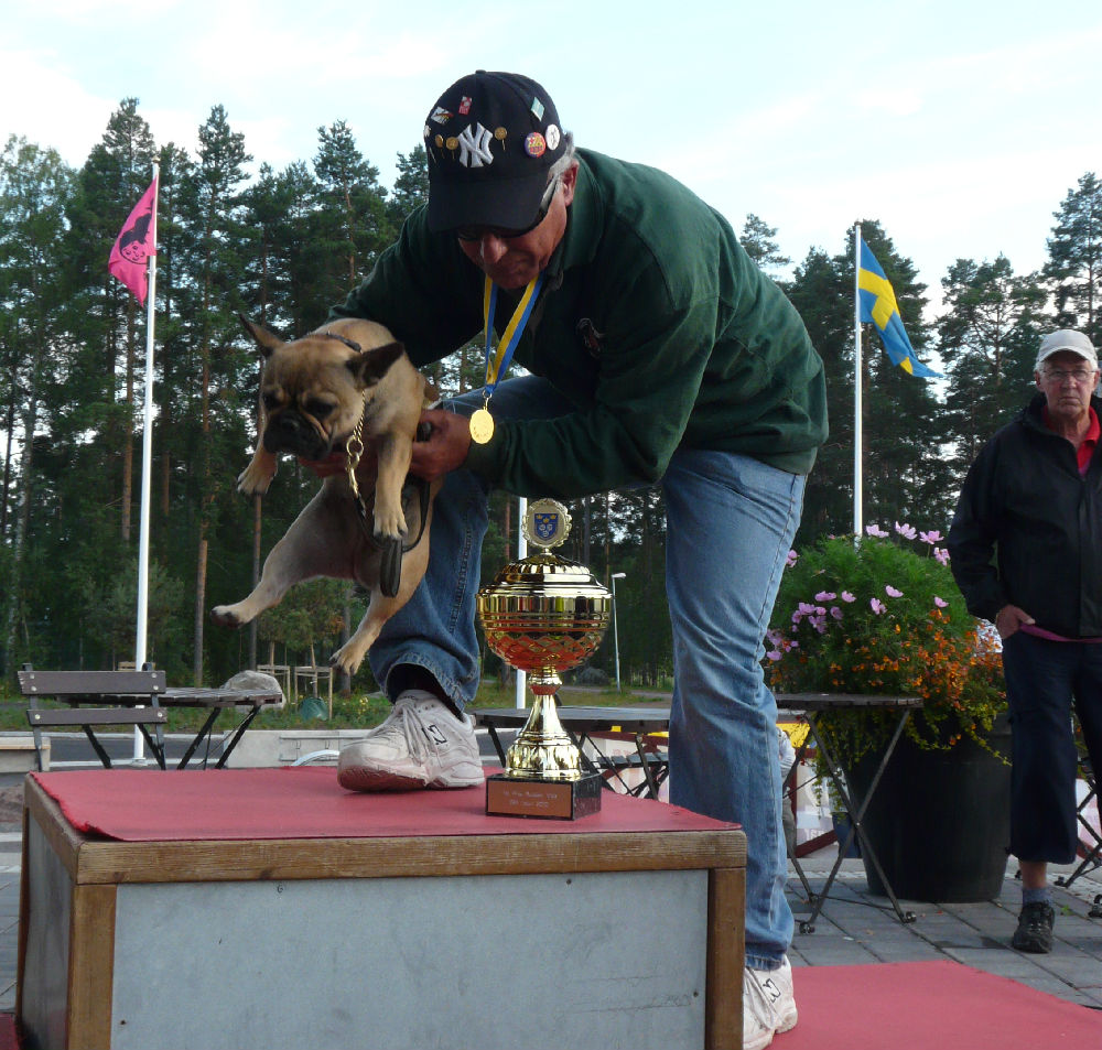 Simon Cohen och hans franska bouledog Misty abonnerade prispallens översta steg i V55-klassen.