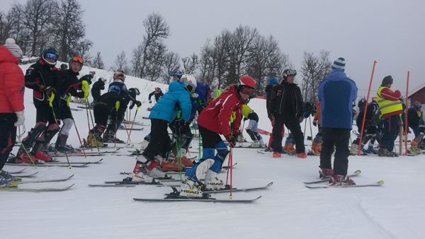 Ingemartrofen-2014